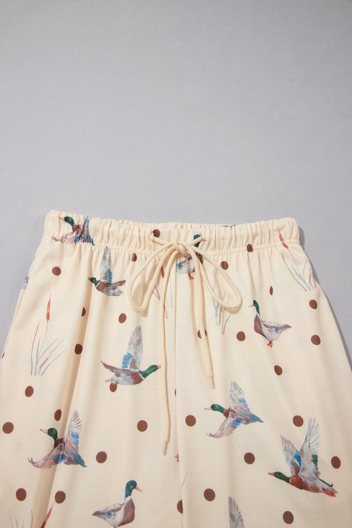 Beige Polka Dot Mallard Print Crewneck Pullover Two Piece Pants Set